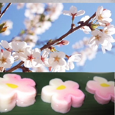 花麩・お吸い物、鍋物、茶碗蒸し、料理のアクセント、桜の感じに表現