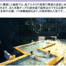 緑と清流のいやし場 南飛騨馬瀬川温泉<br> 美輝の里