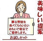 お試しセット(ぜひ一度、那古野麩をどうぞ!)