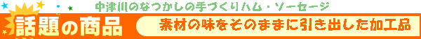 手づくりにこだわり、本物の持つ美味しさを求め、自然に恵まれ、育まれた中津川の心をこめた手づくりハム、ソーセージ、薫製品をお届けする、アンプロジェ・バン.comのお問い合わせ。